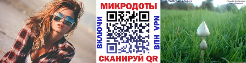 Псилоцибиновые грибы мухоморы  Артёмовский 